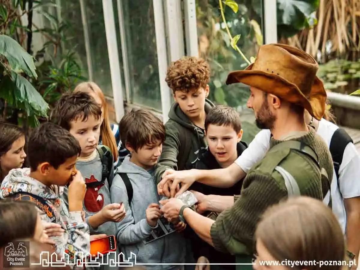 Survival w Palmiarni 2025-11