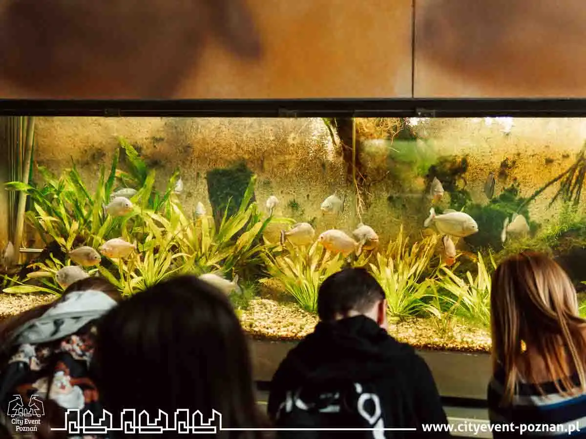 Survival w Palmiarni 2025-20