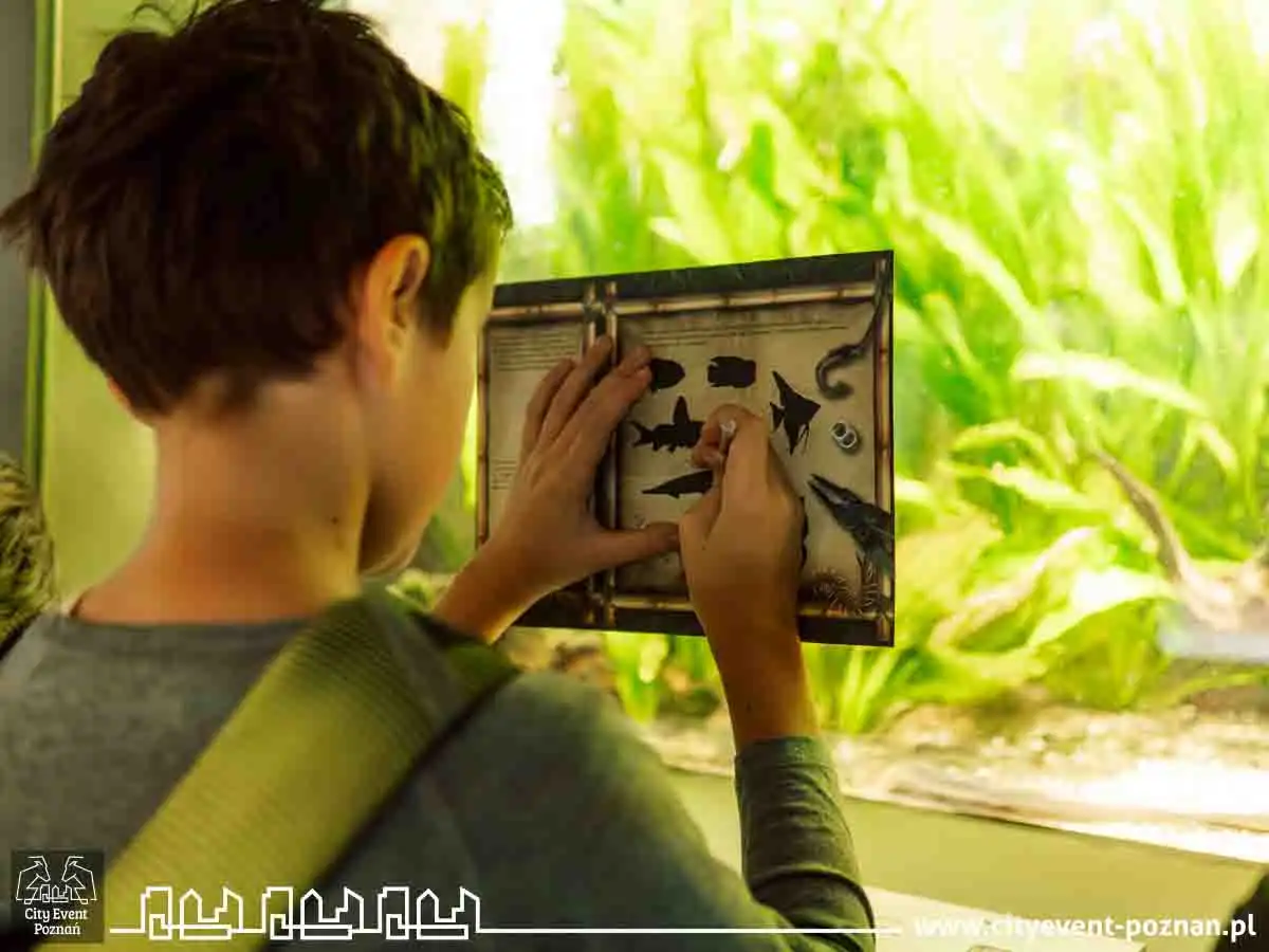 Survival w Palmiarni 2025-21