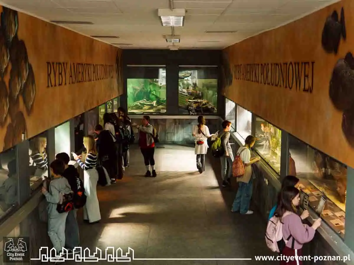 Survival w Palmiarni 2025-22