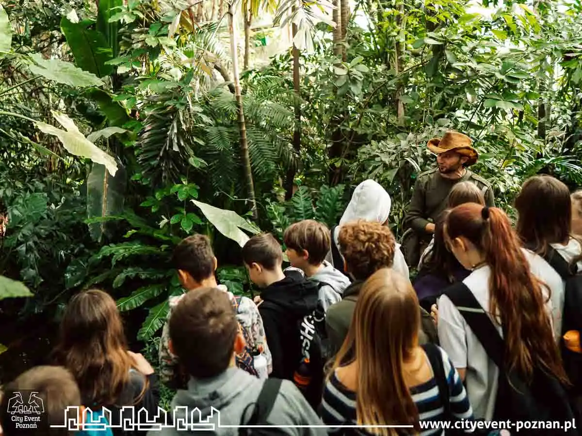 Survival w Palmiarni 2025-3