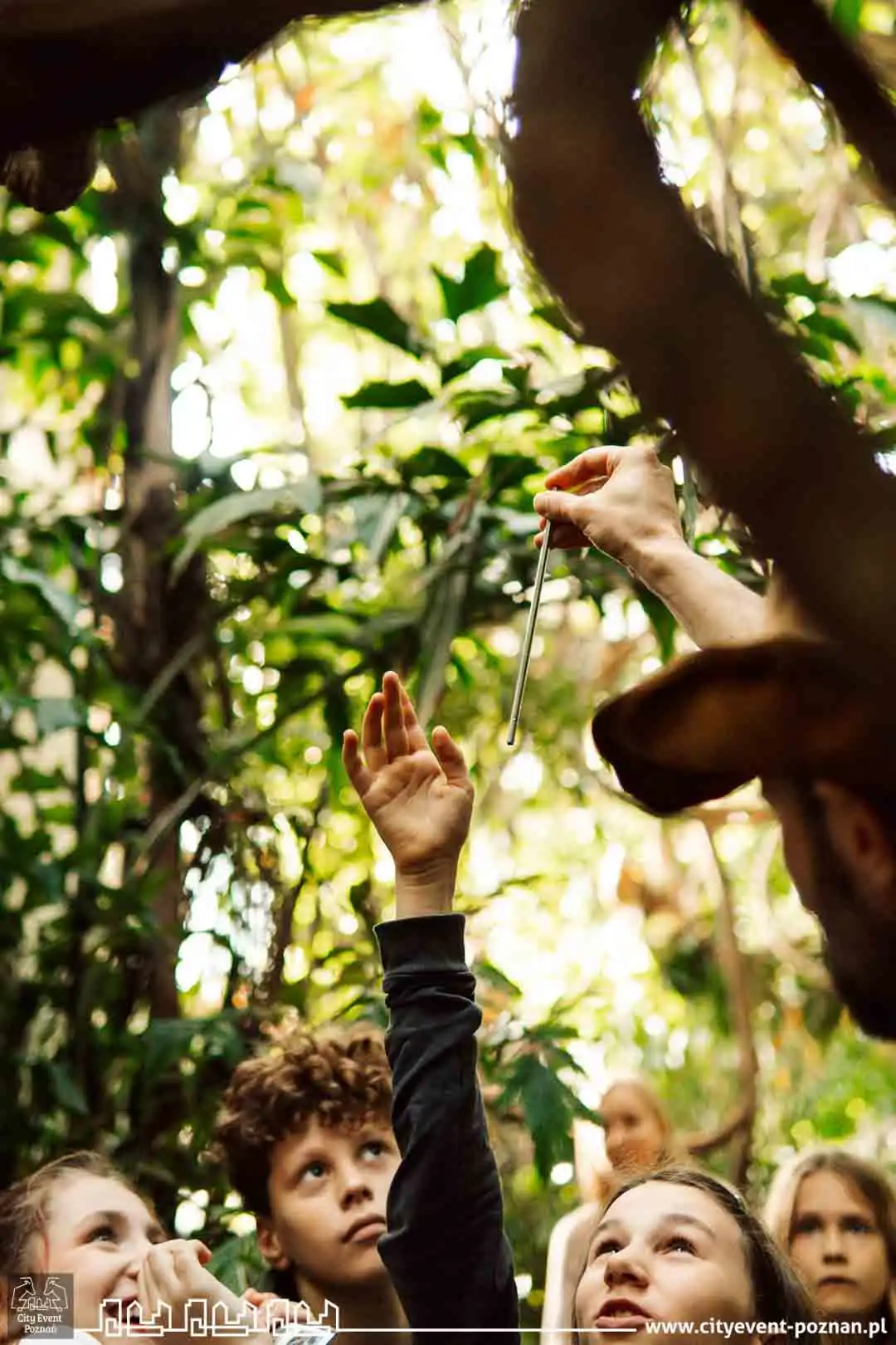 Survival w Palmiarni 2025 mob-5