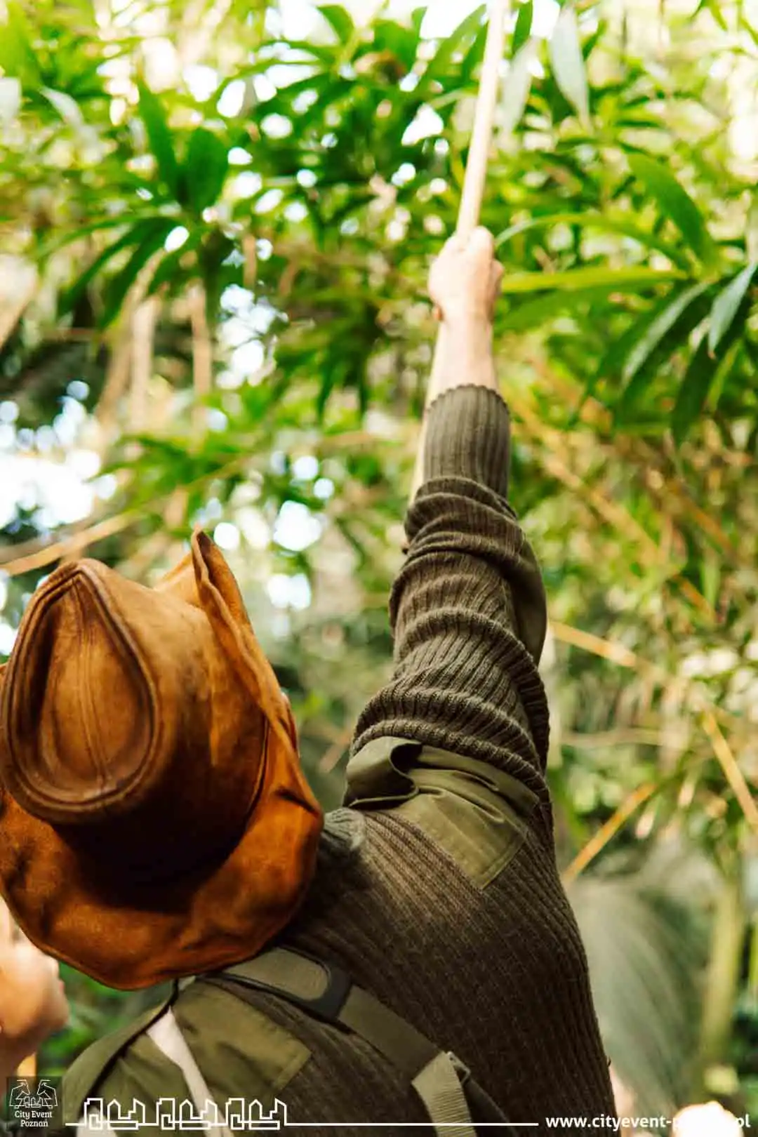 Survival w Palmiarni 2025 mob-6