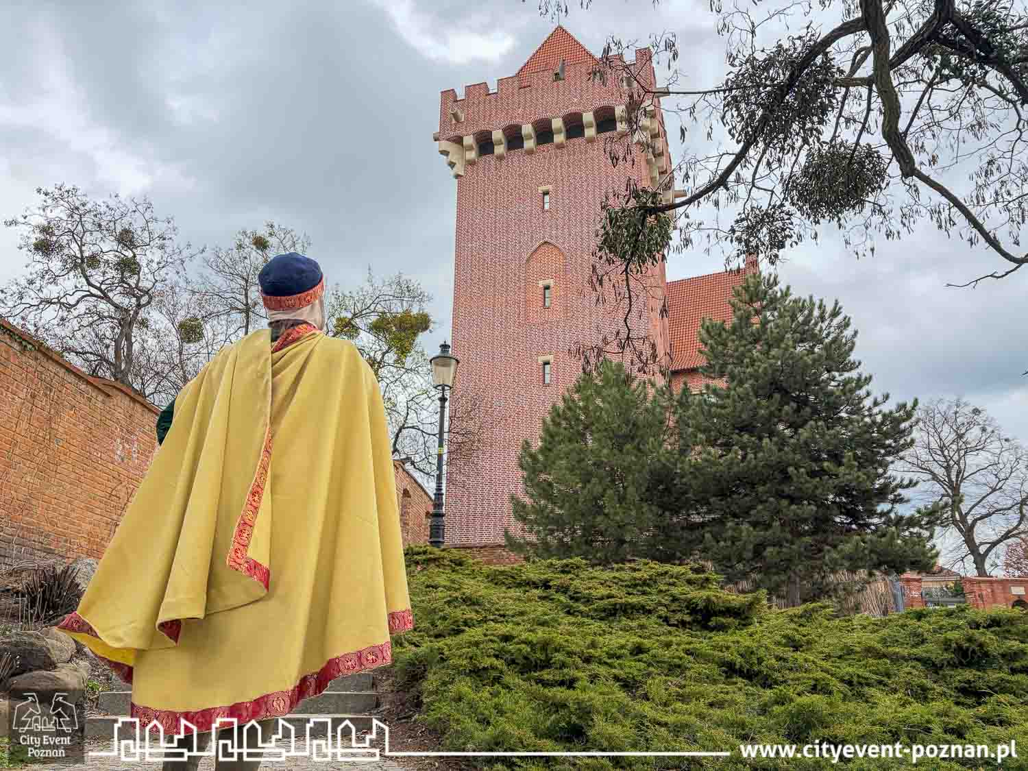 Na Zamku Przemysla cover